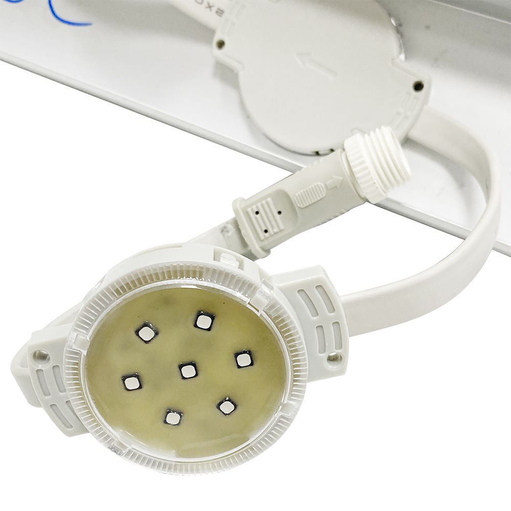 k1体育麻将胡了(中国游)官方网站